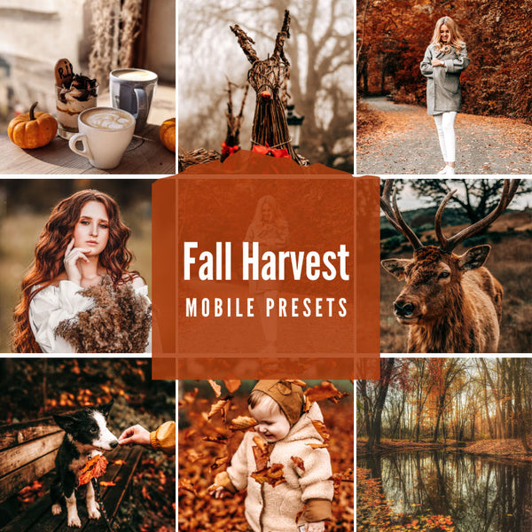 Fall Harvest Presets